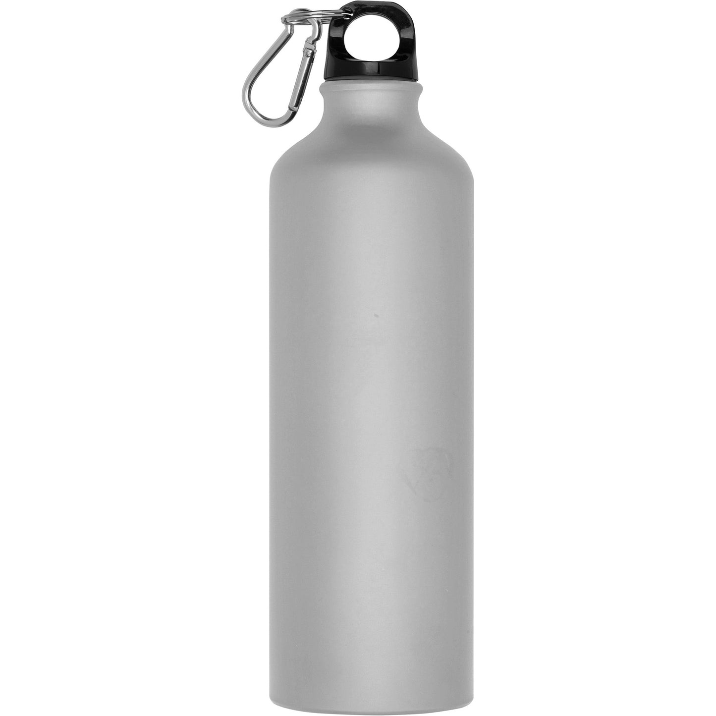 Trinkflasche aus Metall mit Karabinerhaken, 800ml THEODORE