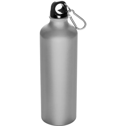Trinkflasche aus Metall mit Karabinerhaken, 800ml THEODORE