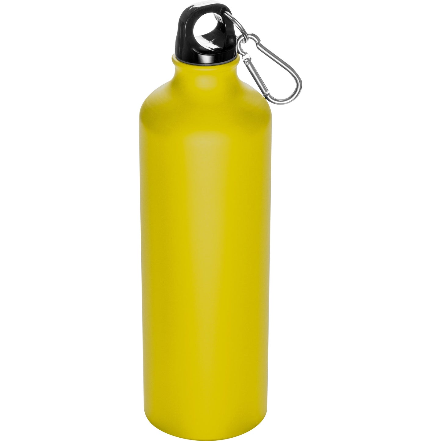 Trinkflasche aus Metall mit Karabinerhaken, 800ml THEODORE